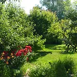 Dorka Vendeghaz * Кехидакустани